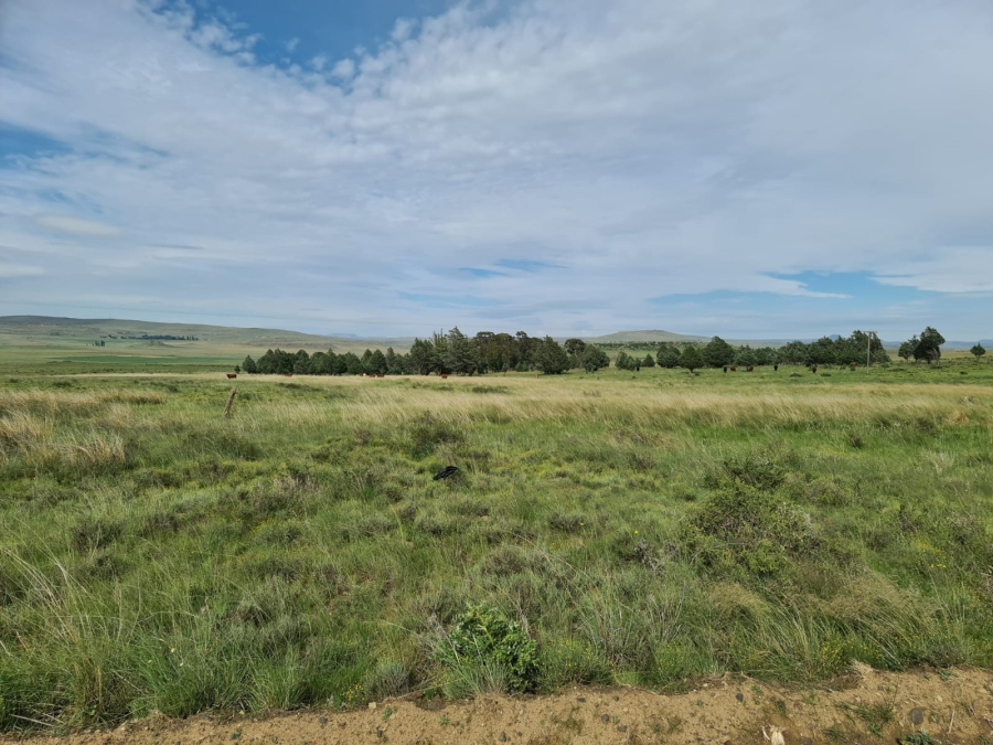 4 Bedroom Property for Sale in Jamestown Eastern Cape